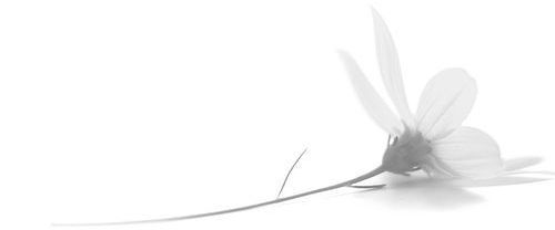 Datos Pe.. Espiritualidad, New-Age - Espiritualidad - 